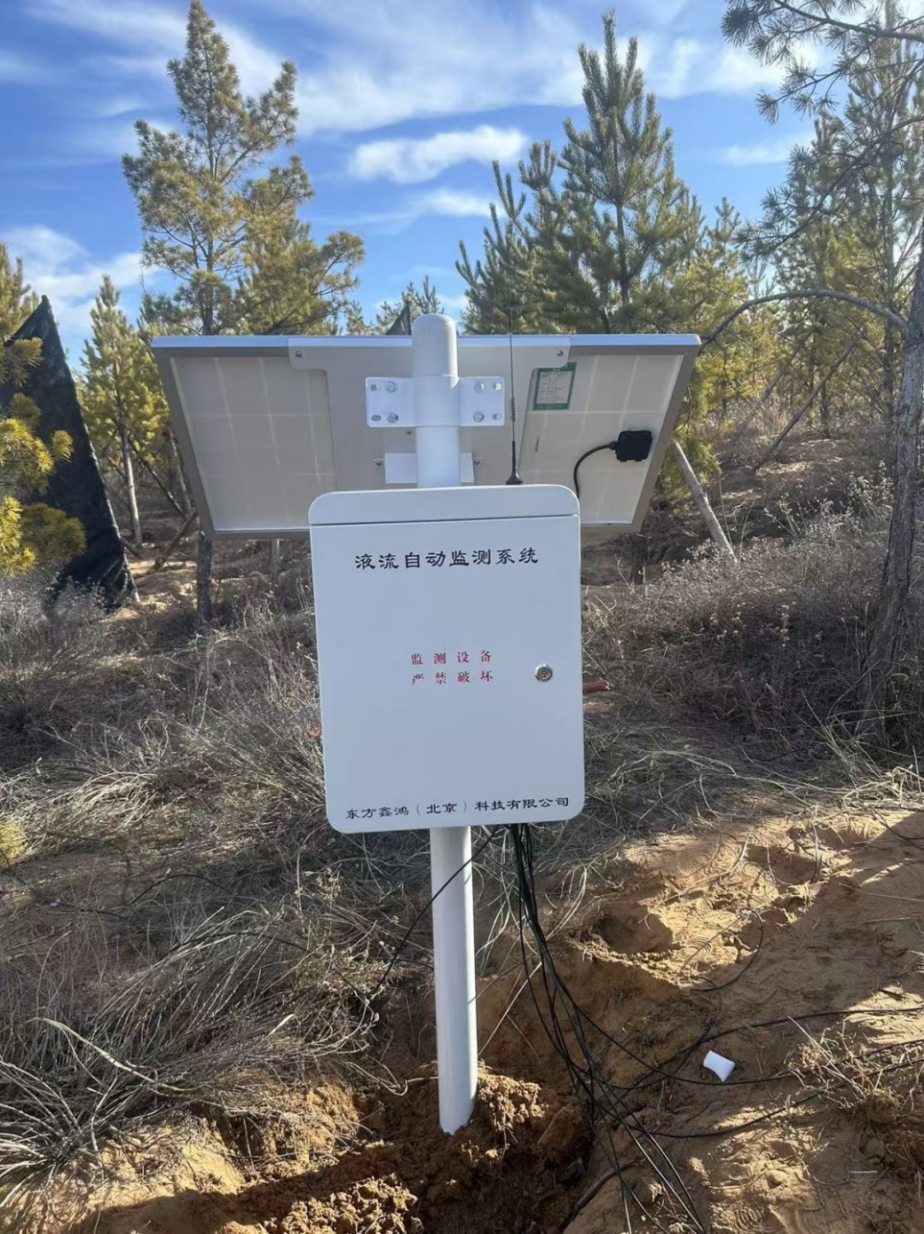 树干液流监测系统