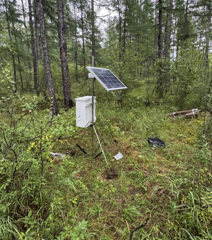 森林降水量再分配观测系统